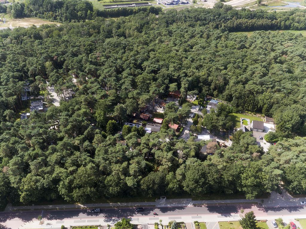 Bospark De Brenkberg Schinveld Exterior foto