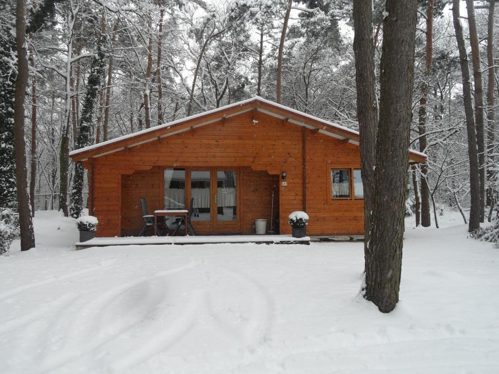 Bospark De Brenkberg Schinveld Exterior foto
