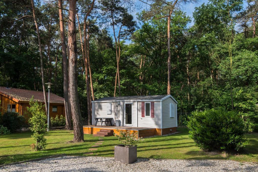 Bospark De Brenkberg Schinveld Habitación foto