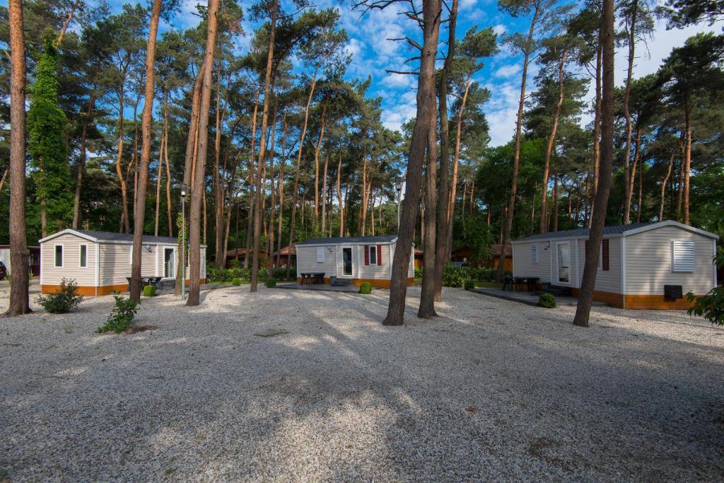 Bospark De Brenkberg Schinveld Habitación foto